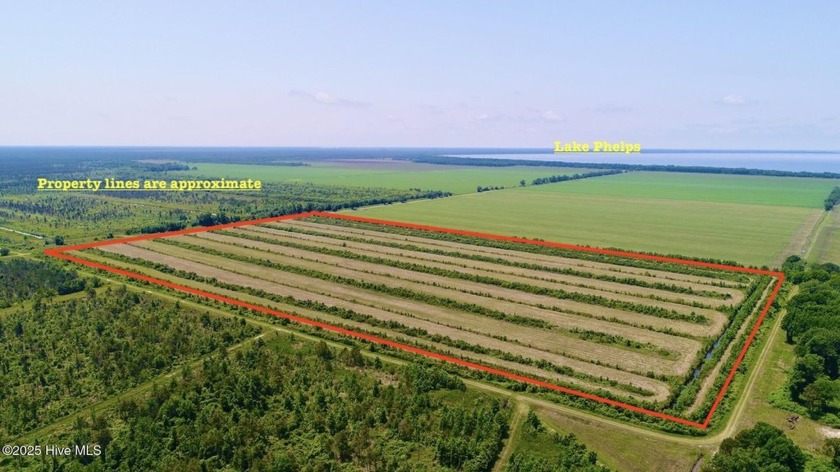 66+ Acre Duck Impoundment  Hunting Tract in Tyrrell County, NC!

 - Beach Acreage for sale in Columbia, North Carolina on Beachhouse.com