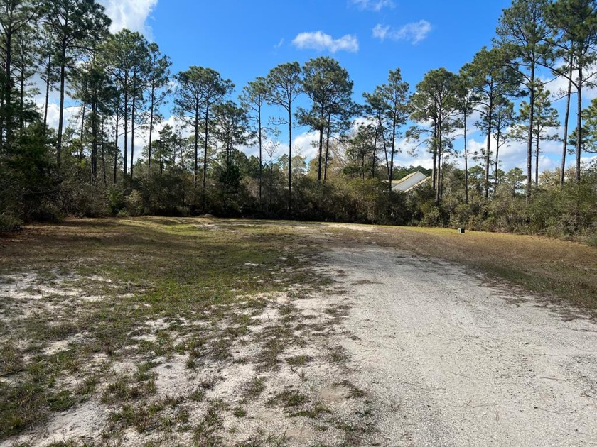 : Beautiful wooded lot on Carrabelle River. High and Dry with - Beach Lot for sale in Carabelle, Florida on Beachhouse.com