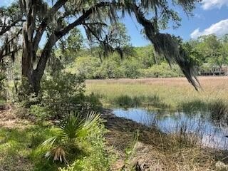 Looking for a private mini-estate? Here's 4.38 acres (3.24 - Beach Acreage for sale in Edisto Island, South Carolina on Beachhouse.com