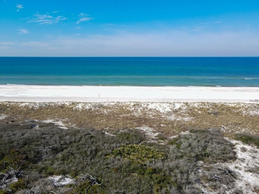 Gulf Front Lot!  Don't miss out on the opportunity to own this - Beach Lot for sale in Cape San Blas, Florida on Beachhouse.com