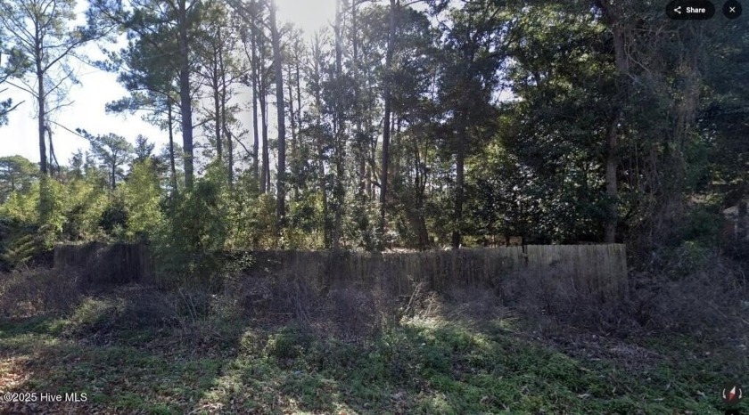 Quiet road that is just minutes From Carolina Beach And Monkey - Beach Lot for sale in Wilmington, North Carolina on Beachhouse.com