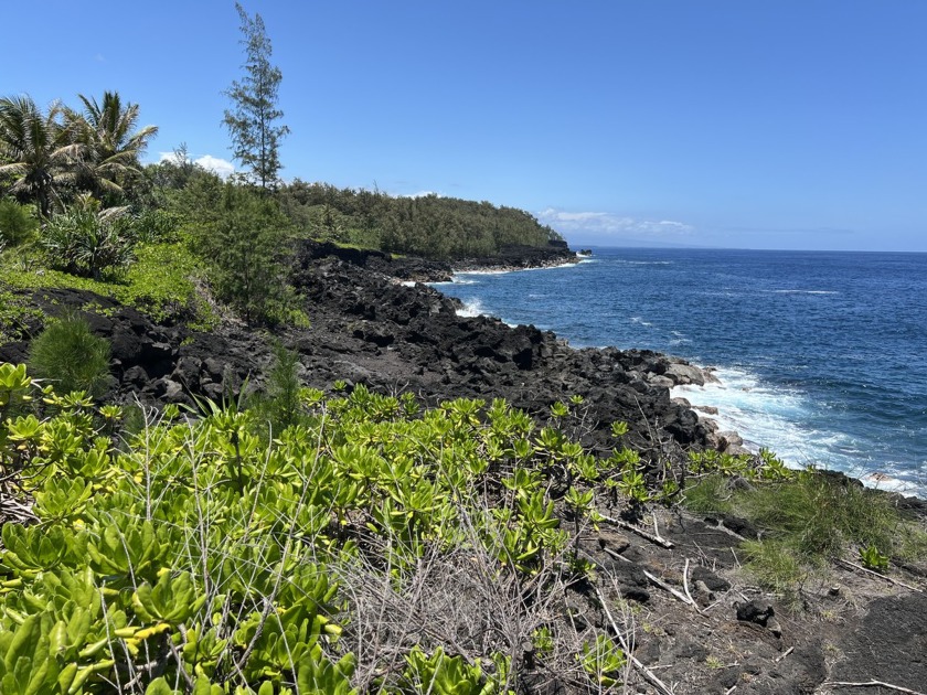 GREAT Ocean lot in WaaWaa.  Lot was partially cleared and the - Beach Lot for sale in Pahoa, Hawaii on Beachhouse.com