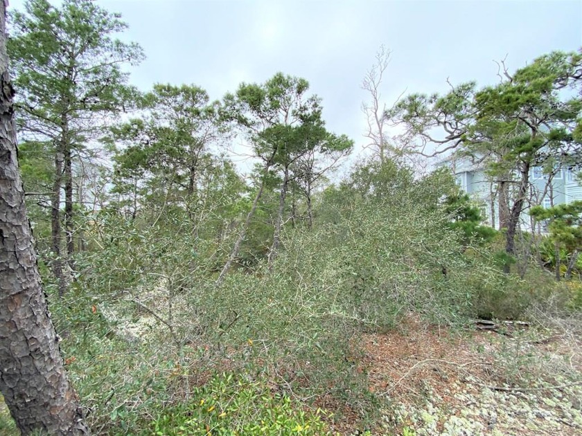 Feel the beach breezes and get views of the bay and the gulf - Beach Lot for sale in Cape San Blas, Florida on Beachhouse.com