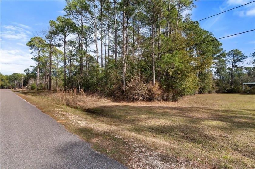 WATERFRONT--Welcome to the community of Delta Port.  This lot is - Beach Lot for sale in Coden, Alabama on Beachhouse.com