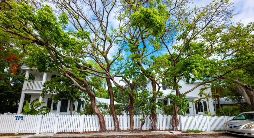 Discover a perfect blend of brand new and historic charm in this - Beach Home for sale in Key West, Florida on Beachhouse.com