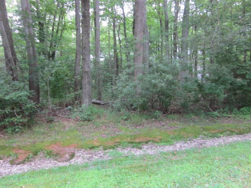 THIS BUILDING SITE OFFERS COMMUNITY ACCESS TO THE POTOMAC RIVER - Beach Lot for sale in Heathsville, Virginia on Beachhouse.com