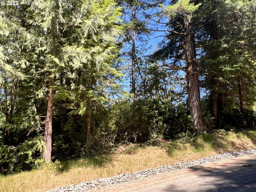 Back on the market no fault of the property.. Build your dream - Beach Lot for sale in Florence, Oregon on Beachhouse.com