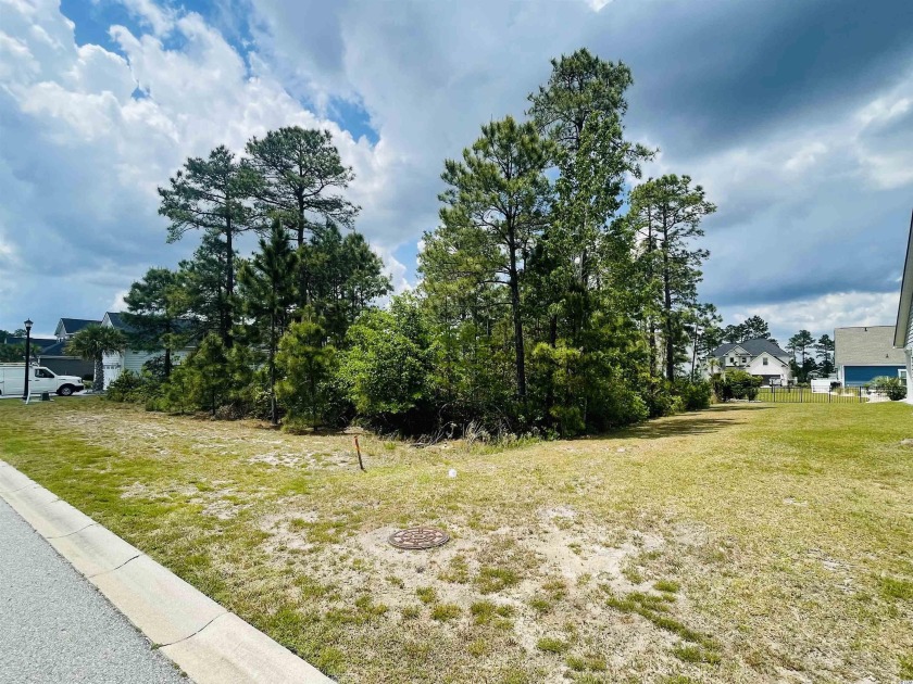 Large lot located in the highly sought after gated community of - Beach Lot for sale in Myrtle Beach, South Carolina on Beachhouse.com
