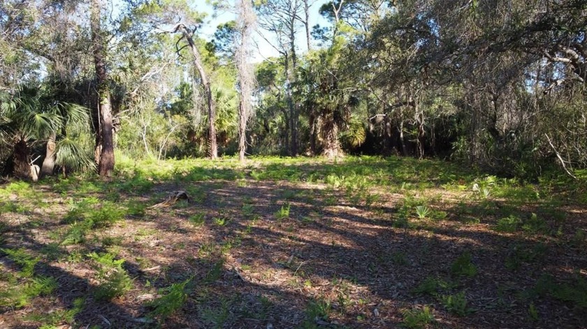 Beautiful lot on Pine Street. Very close to the beach easement - Beach Lot for sale in St. George Island, Florida on Beachhouse.com