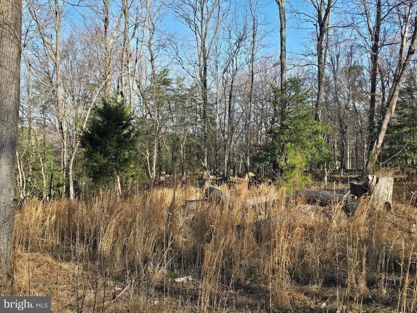 Your 2026 Dream Home Starts Here!  Stop searching and start - Beach Lot for sale in Montross, Virginia on Beachhouse.com