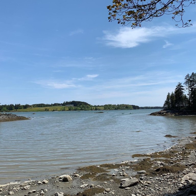 Discover the perfect blend of tranquility and coastal charm with - Beach Acreage for sale in Friendship, Maine on Beachhouse.com