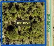 1-acre homesite with desirable western exposure. Ideal setting - Beach Lot for sale in Lehigh Acres, Florida on Beachhouse.com