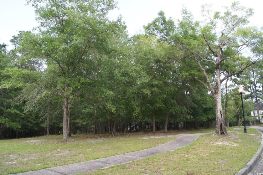 Welcome to Harmony Township and Riverfront amenities including a - Beach Lot for sale in Georgetown, South Carolina on Beachhouse.com
