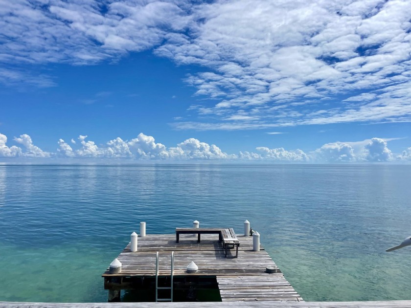 The wide open Gulf views are breathtaking from everywhere in - Beach Home for sale in Conch Key, Florida on Beachhouse.com