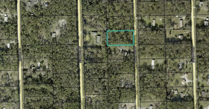 If you've been looking for your piece of undeveloped land on - Beach Lot for sale in Bunnell, Florida on Beachhouse.com