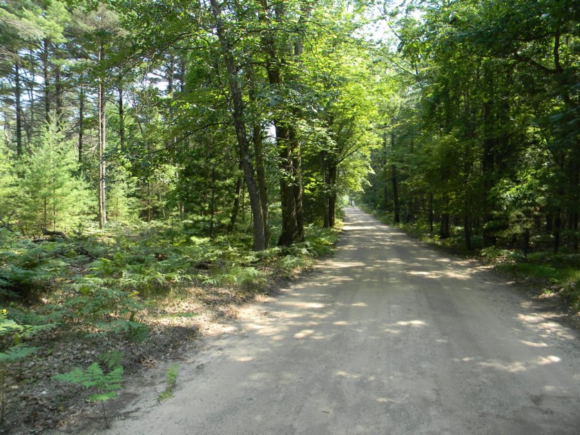 NEW 10A PARCEL: Nicely wooded, build-able parcel just east of - Beach Acreage for sale in Pentwater, Michigan on Beachhouse.com
