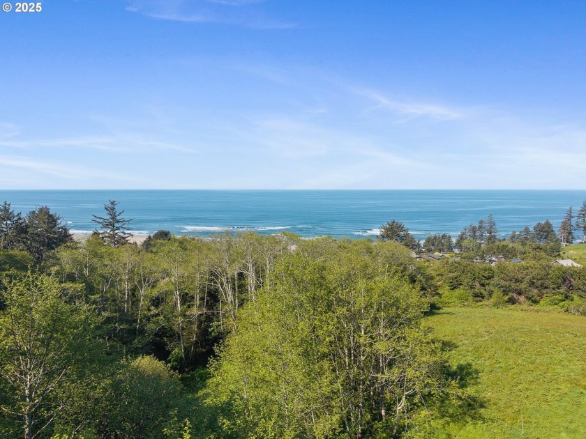 OCEAN VIEWS as far as the eye can see! Miles of unobstructed - Beach Lot for sale in Manzanita, Oregon on Beachhouse.com