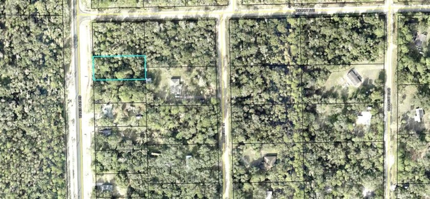 Nice 100 x 220' country lot zoned for Manufactured home or site - Beach Lot for sale in Bunnell, Florida on Beachhouse.com