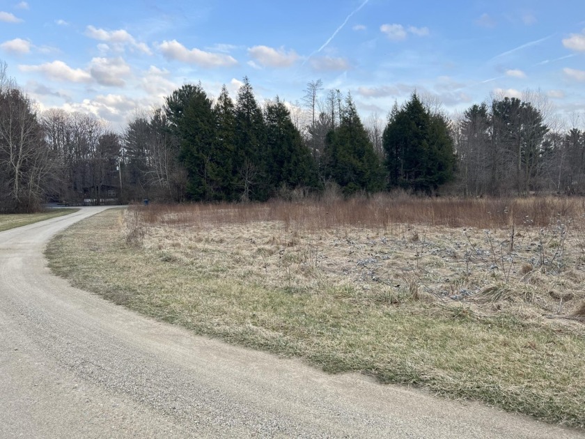 Build your new home on this partially wooded, 1.38 acre lot - Beach Lot for sale in South Haven, Michigan on Beachhouse.com