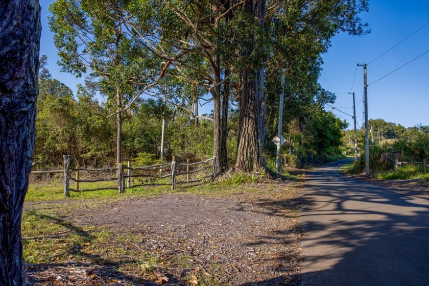 Discover the beauty of this 5-acre pasture land parcel - Beach Acreage for sale in Honokaa, Hawaii on Beachhouse.com