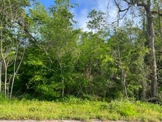 Excellent opportunity for an affordable building site in the - Beach Lot for sale in Apalachicola, Florida on Beachhouse.com