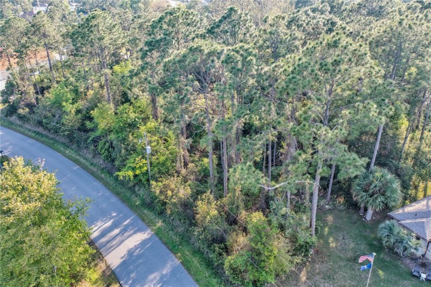This exceptional 17,860 sq ft lot is perfectly situated on a - Beach Lot for sale in Palm Coast, Florida on Beachhouse.com
