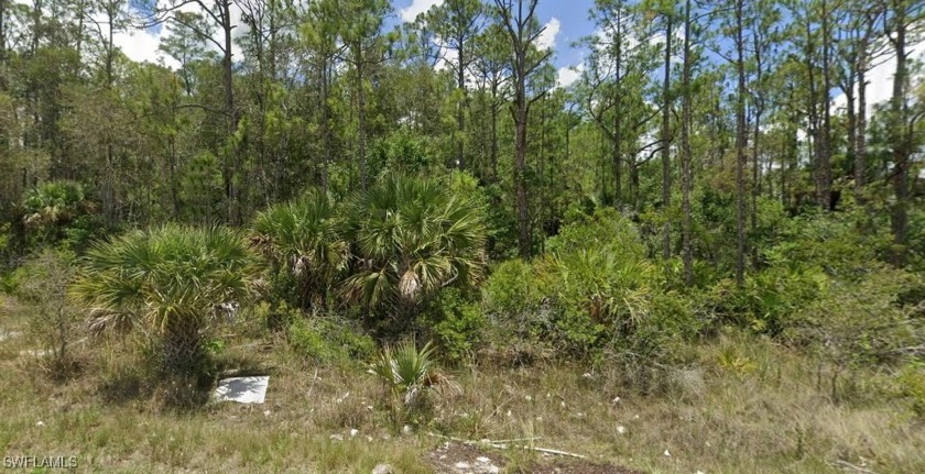 Discover the perfect canvas to create your dream home on this - Beach Lot for sale in Lehigh Acres, Florida on Beachhouse.com