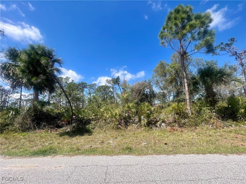 Beautiful lot offers a unique opportunity to build the home of - Beach Lot for sale in Port Charlotte, Florida on Beachhouse.com