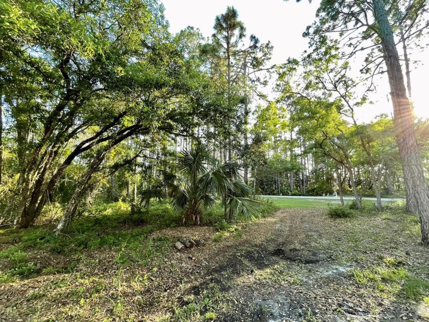 Amply sized corner lot located in the quiet coastal community of - Beach Lot for sale in Port St Joe, Florida on Beachhouse.com
