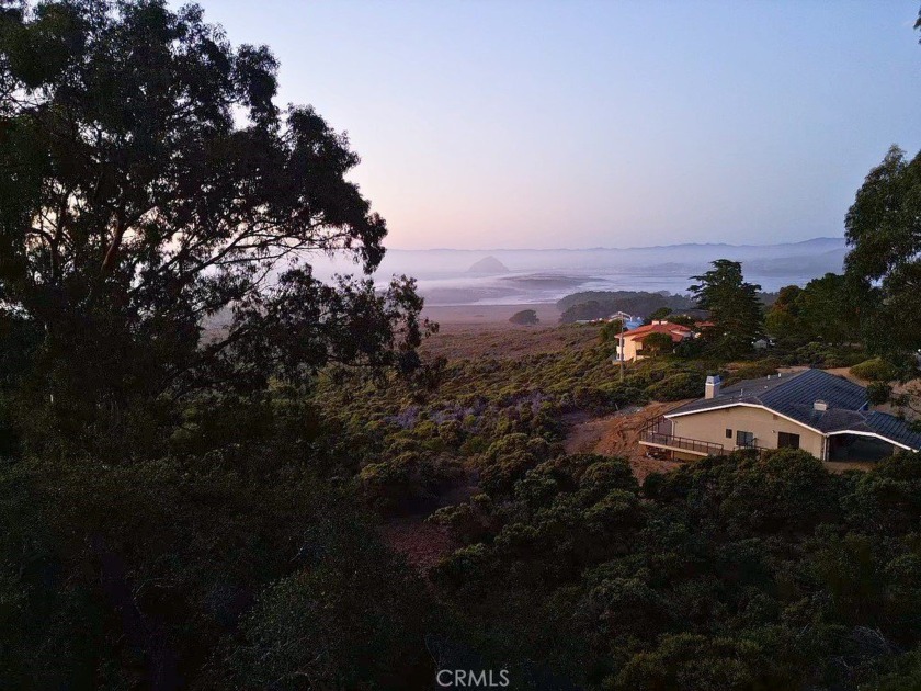 Imagine waking up to some of the most breathtaking vistas in all - Beach Lot for sale in Los Osos, California on Beachhouse.com