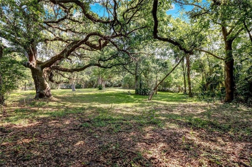 Amelia Island vacant lot located within minutes of beautiful - Beach Lot for sale in Fernandina Beach, Florida on Beachhouse.com