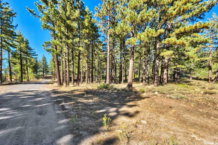 Nestled off the scenic Mt. Rose Highway, this nearly 1-acre - Beach Lot for sale in Reno, Nevada on Beachhouse.com