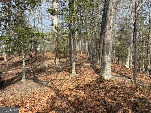 Welcome to 28 Hidden Lake Dr., where lakefront living meets - Beach Lot for sale in Montross, Virginia on Beachhouse.com