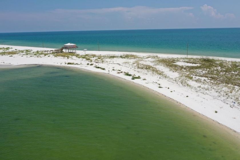 Best of both worlds with Gulf and Bay frontage.  Dunes, sea oats - Beach Acreage for sale in Carabelle, Florida on Beachhouse.com