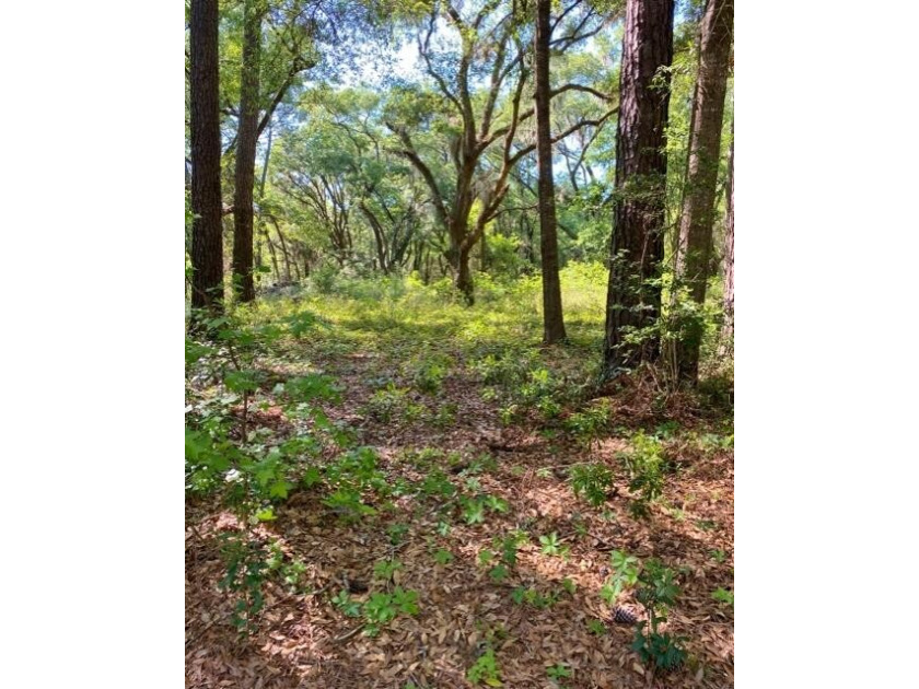 Once in a lifetime opportunity to own an acre home site in - Beach Lot for sale in Edisto Island, South Carolina on Beachhouse.com