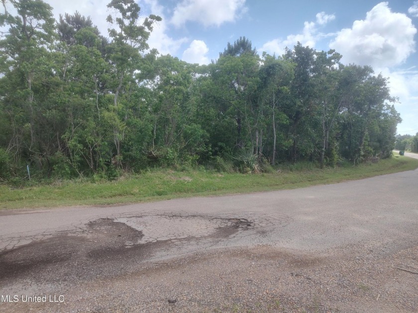 Don't miss this incredible opportunity to own a .33-acre +- - Beach Lot for sale in Bay Saint Louis, Mississippi on Beachhouse.com