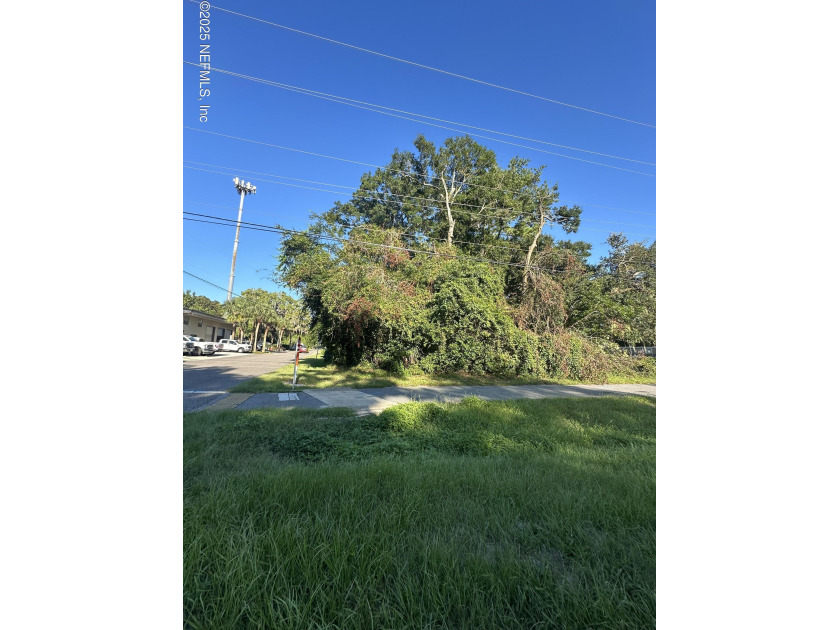 FRONTAGE ON FIRST COAST HWY - MOTIVATED SELLER - DREAM LOCATION - Beach Lot for sale in Fernandina Beach, Florida on Beachhouse.com