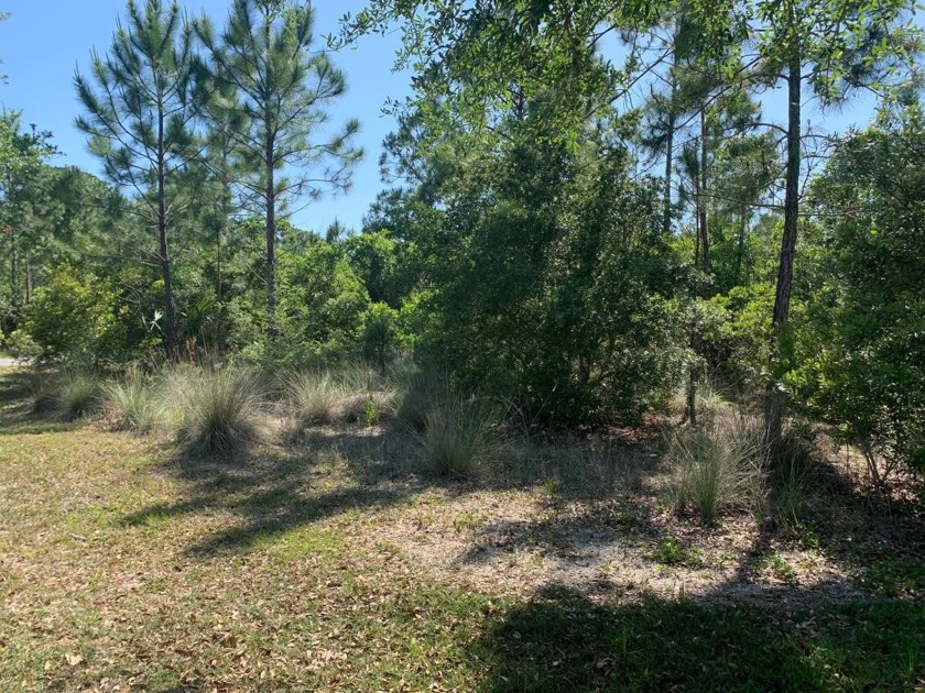 BEAUTIFUL LOT IN HIGHLY DISIRABLE SHALLOW REED SUBDIVISION - Beach Lot for sale in Port St Joe, Florida on Beachhouse.com