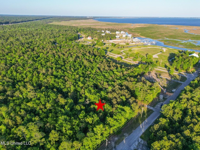 Prime opportunity! This spacious lot on the desirable south side - Beach Lot for sale in Diamondhead, Mississippi on Beachhouse.com