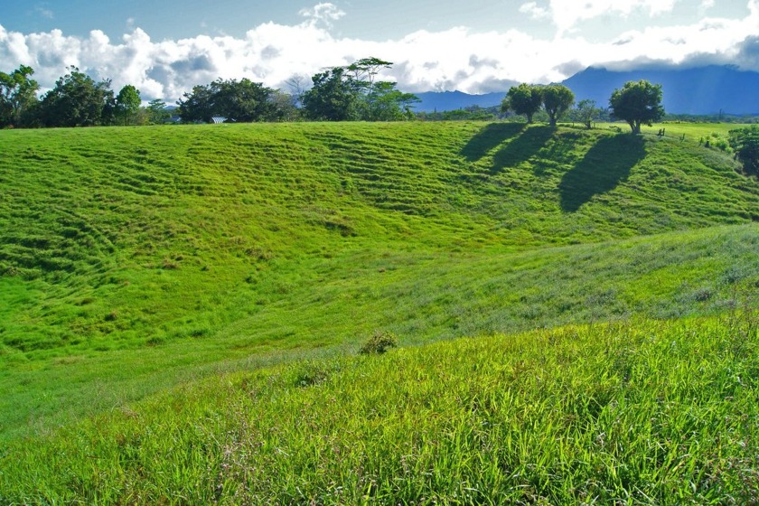 5 ACRES OFGORGEOUS ROLLING PASTURELAND THAT QUALIFIES FOR 1 - Beach Acreage for sale in Kapaa, Hawaii on Beachhouse.com
