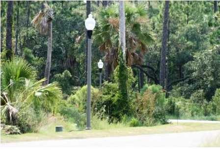 Beautiful lot located in Mystic Palms Subdivision! Amenities - Beach Lot for sale in Port St Joe, Florida on Beachhouse.com