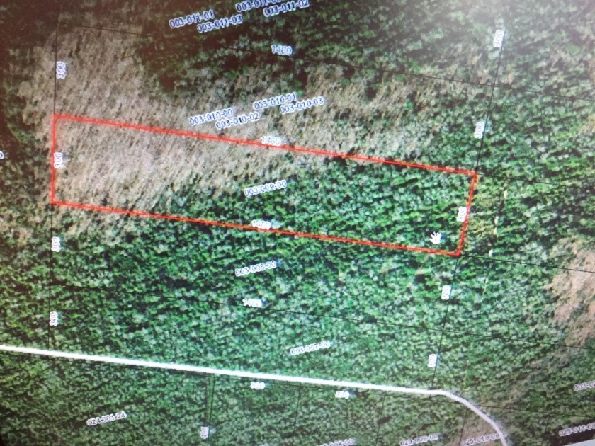 Bois Blanc Island Acreage Off Market 00300900 Aspen DR MI 1977078