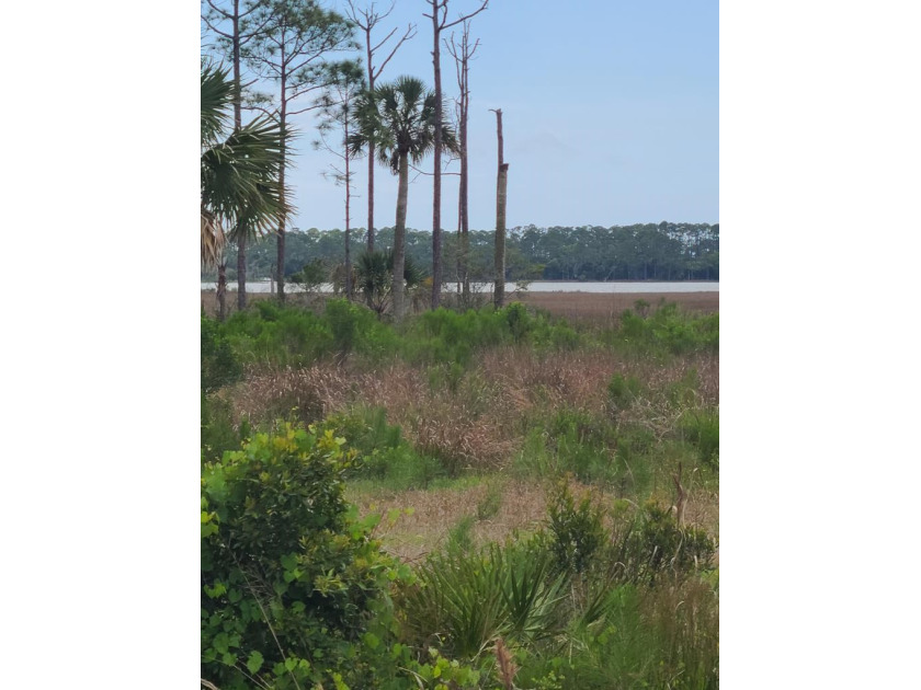 This 100 foot wide lagoon-front lot boasts beautiful views of - Beach Lot for sale in Port St Joe, Florida on Beachhouse.com
