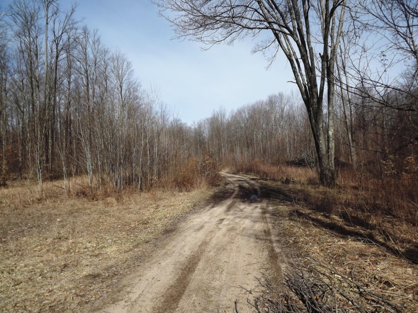 Antrim County Recreation land. 40 acres +/- of low rolling hills - Beach Acreage for sale in Alden, Michigan on Beachhouse.com