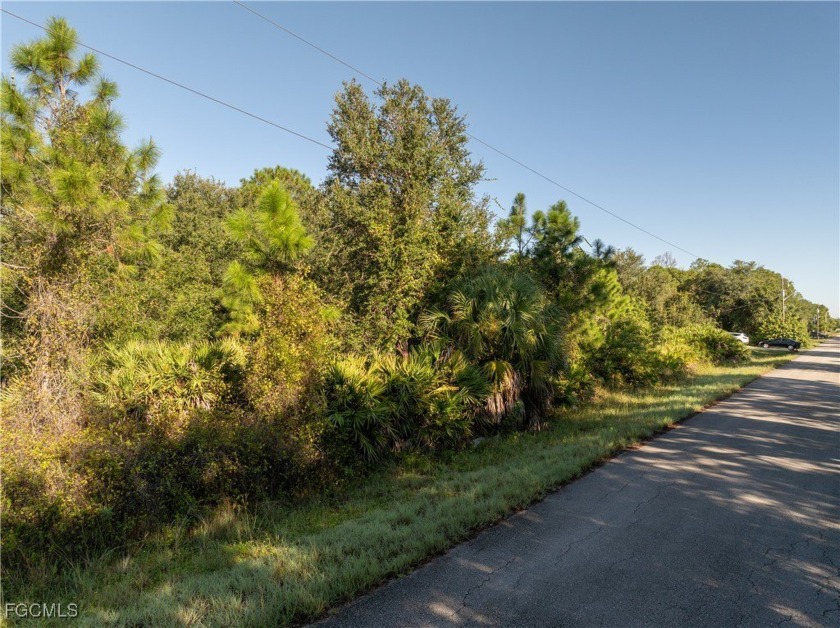 This 1/2 acre lot is located in a fast-growing side of Lehigh - Beach Lot for sale in Lehigh Acres, Florida on Beachhouse.com