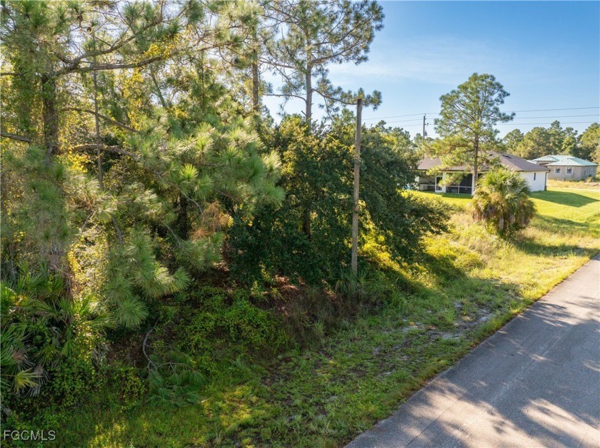 Great Investment! .5 Acre Almost Cleared Lot on Paved Road in - Beach Lot for sale in Lehigh Acres, Florida on Beachhouse.com