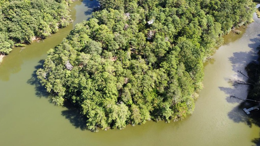 Four waterfront lots on Payne's Creek being sold as one.  Large - Beach Lot for sale in Lancaster, Virginia on Beachhouse.com