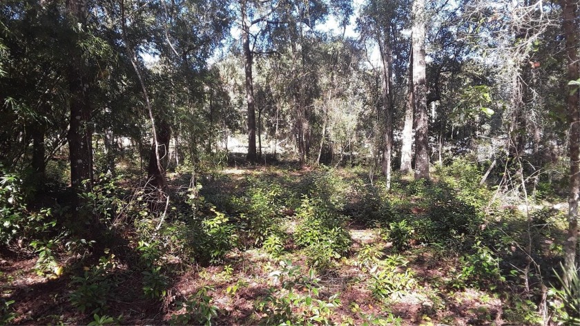 3 lots totalling .68 of an acre with septic that has a newer - Beach Lot for sale in Yankeetown, Florida on Beachhouse.com