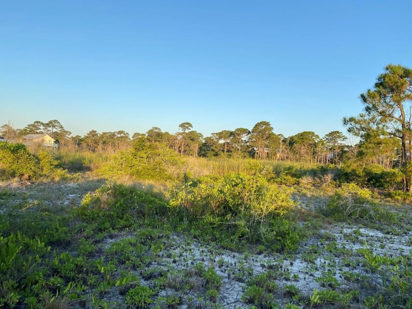 Lovely vacant lot on Dog Island.  The lot is located on Starfish - Beach Lot for sale in Carabelle, Florida on Beachhouse.com