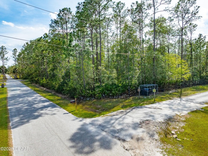 Beautiful 1.3 Acre corner wooded lot in a very nice development - Beach Lot for sale in Ormond Beach, Florida on Beachhouse.com